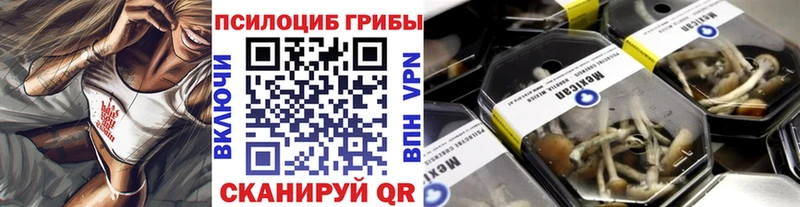 Галлюциногенные грибы мицелий  Нелидово 