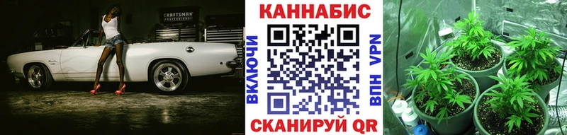 ссылка на мегу зеркало  цены   Нелидово  Шишки марихуана сатива 